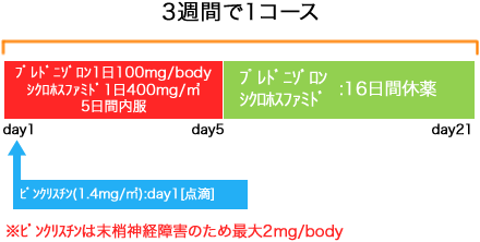 血液内科 非ホジキンリンパ腫 CVP(経口)療法