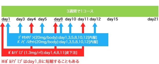 血液内科 多発性骨髄腫 BD+Panobinostat療法