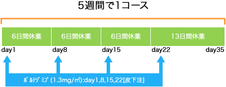 血液内科 多発性骨髄腫 ベルケイド療法