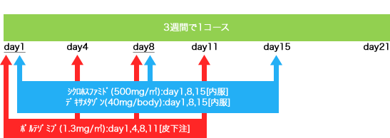 血液内科 多発性骨髄腫 CBD(C500)療法