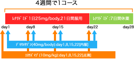 血液内科 多発性骨髄腫 ERd療法