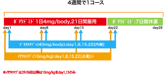 血液内科 多発性骨髄腫 IsaPd療法