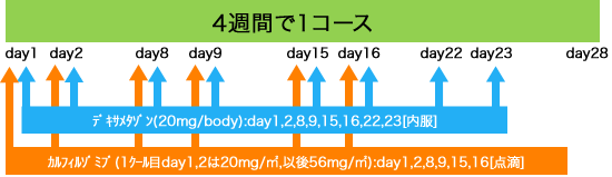 血液内科 多発性骨髄腫 Kd療法