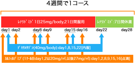 血液内科 多発性骨髄腫 KRd療法