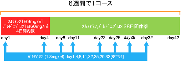 血液内科 多発性骨髄腫 VMP療法