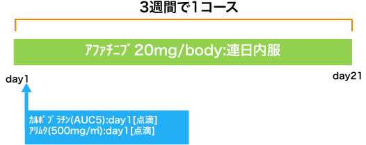 呼吸器病センター 非小細胞肺癌 ACP療法