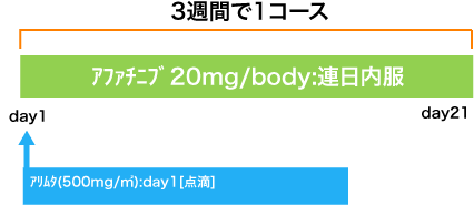 呼吸器病センター 非小細胞肺癌 AP療法