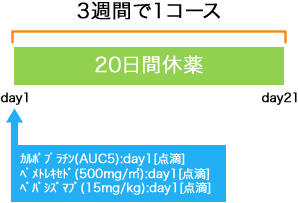 呼吸器病センター 非小細胞肺癌 CBDCA+PEM+BEV療法