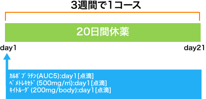 呼吸器病センター 非小細胞肺癌 CBDCA+PEM+PEMBRO療法