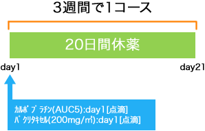 呼吸器病センター 非小細胞肺癌 CBDCA+PTX療法