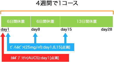 呼吸器病センター 非小細胞肺癌 CBDCA+VNR療法