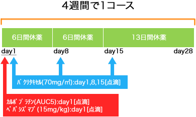 呼吸器病センター 非小細胞肺癌 CBDCA+ｗPTX+BEV療法