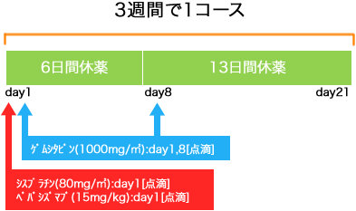 呼吸器病センター 非小細胞肺癌 CDDP+GEM+BEV療法