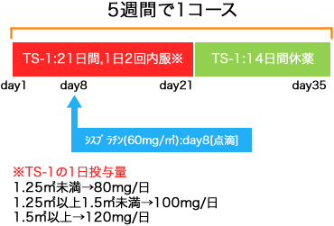 呼吸器病センター 非小細胞肺癌 CDDP+TS-1療法