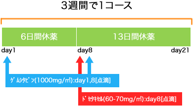 呼吸器病センター 非小細胞肺癌 GEM+DOC療法