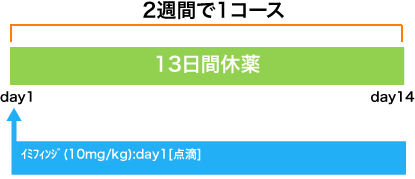 呼吸器病センター 非小細胞肺癌 イミフィンジ療法