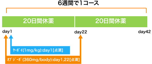 呼吸器病センター 非小細胞肺癌 IPI+NIVO維持療法