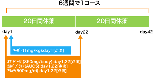 呼吸器病センター 非小細胞肺癌 IPI+NIVO+CBDCA+PEM療法