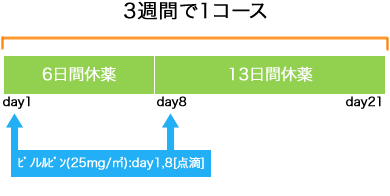 呼吸器病センター 非小細胞肺癌 VNR療法