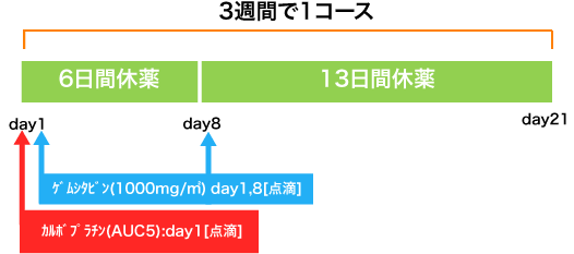 悪性胸膜中皮腫 CBDCA+GEM療法