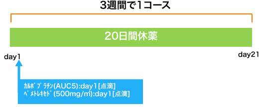 悪性胸膜中皮腫 CBDCA+PEM療法