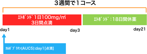 呼吸器病センター 小細胞癌 CBDCA+VP-16療法