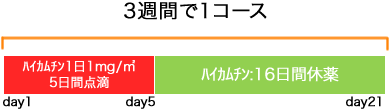 呼吸器病センター 小細胞癌 ハイカムチン療法