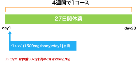 呼吸器病センター 小細胞癌 イミフィンジ維持療法