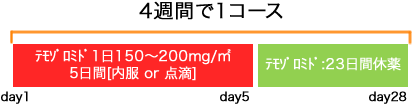 脳外科 悪性神経膠腫 TMZ(初発)療法