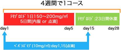 脳外科 悪性神経膠腫 TMZ+BEV(初発)療法