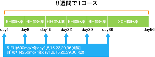 消化器内科 胃癌 5-FU+l-LV療法