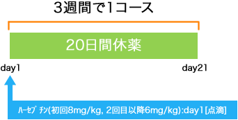 消化器内科 胃癌 ハーセプチン療法