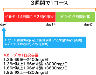 消化器内科 胃癌 HXP療法