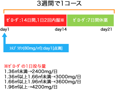 消化器内科 胃癌 XP療法