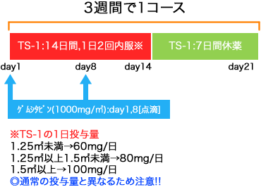 消化器内科 膵癌 GEM+TS-1療法