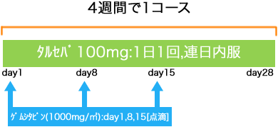 消化器内科 膵癌 タルセバ+GEM療法