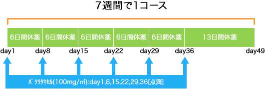 消化器内科 食道癌 weekly PTX療法