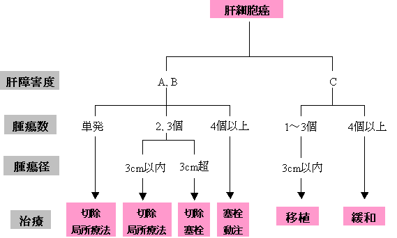 肝癌ガイドラインに基づく治療法選択の流れ